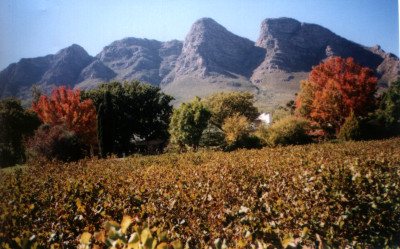 Mountains on wine farm for sale in South Africa